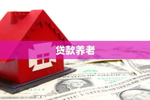 大安贷款养老