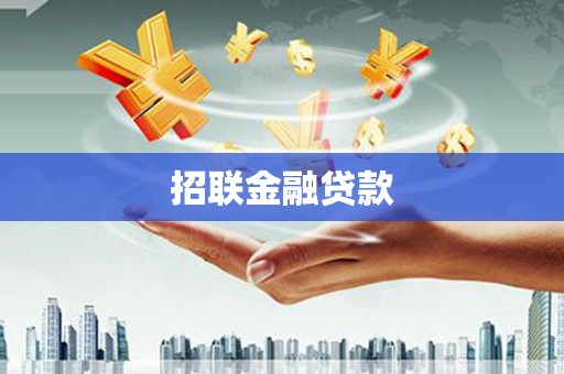 大安招联金融贷款