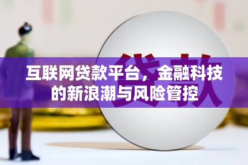 大安互联网贷款平台，金融科技的新浪潮与风险管控