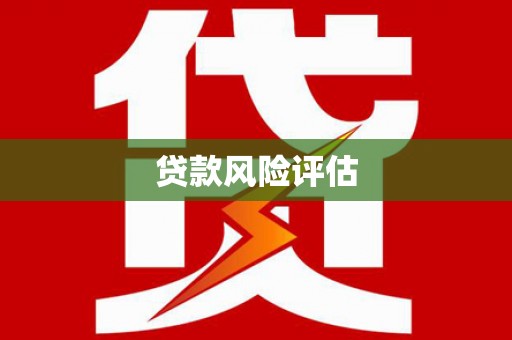 大安贷款风险评估