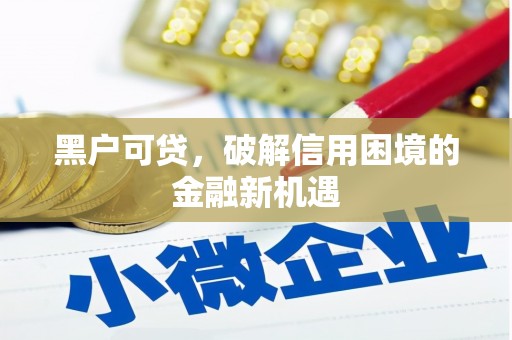 大安黑户可贷，破解信用困境的金融新机遇