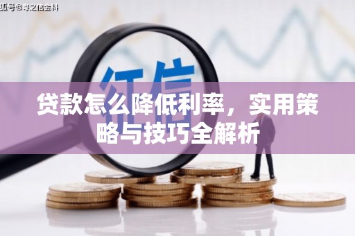 大安贷款怎么降低利率，实用策略与技巧全解析