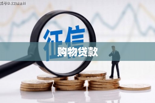 大安购物贷款