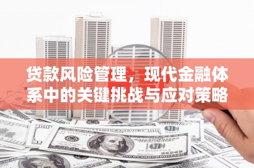 大安贷款风险管理，现代金融体系中的关键挑战与应对策略