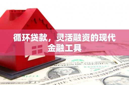 大安循环贷款，灵活融资的现代金融工具