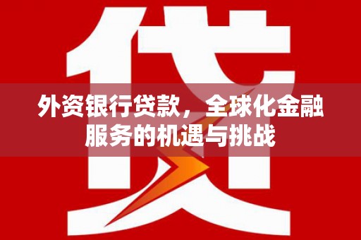 大安外资银行贷款，全球化金融服务的机遇与挑战