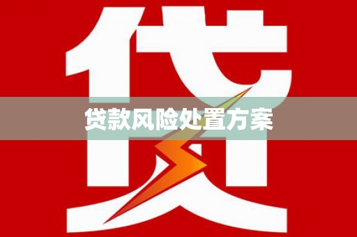大安贷款风险处置方案