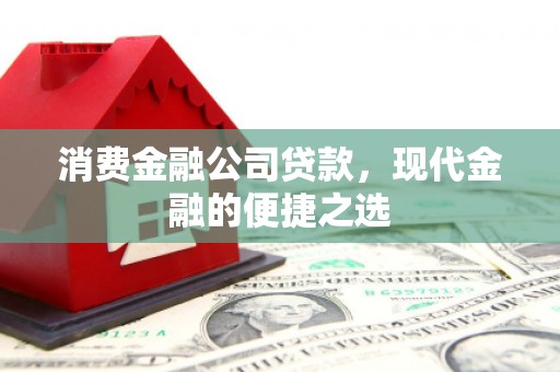 大安消费金融公司贷款，现代金融的便捷之选
