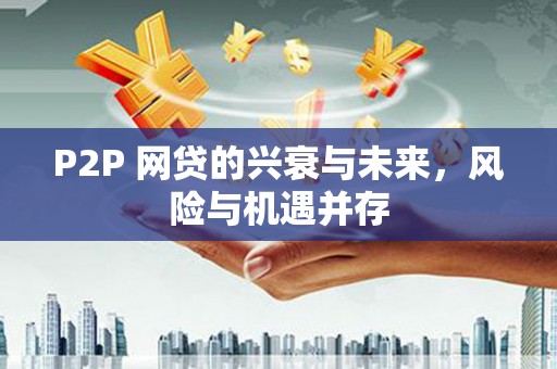 大安P2P 网贷的兴衰与未来，风险与机遇并存