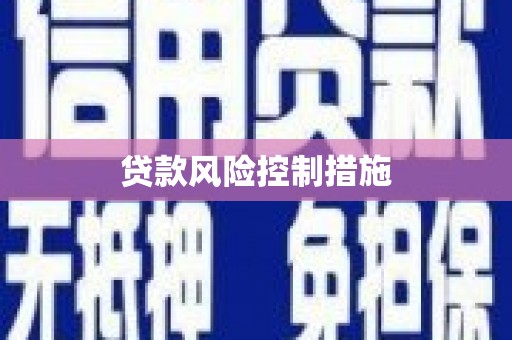 大安贷款风险控制措施