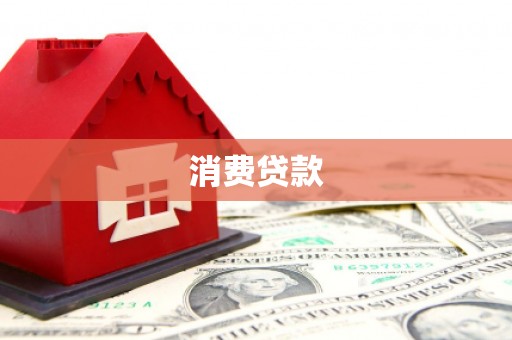 大安消费贷款