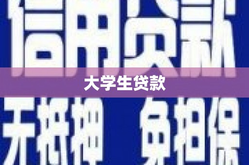 大安大学生贷款