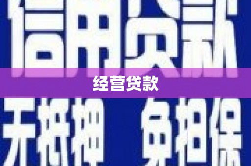 大安经营贷款