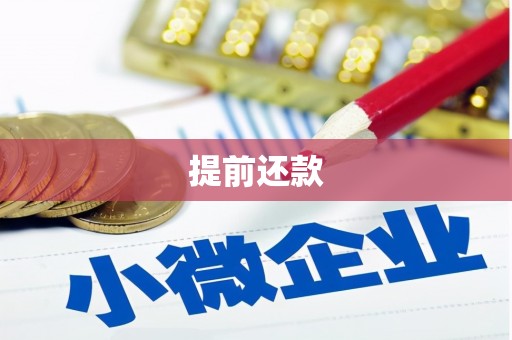 大安提前还款
