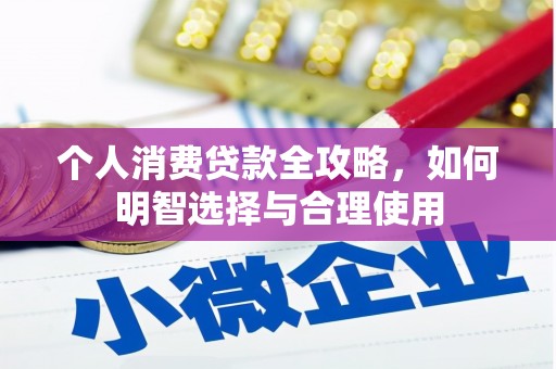 大安个人消费贷款全攻略，如何明智选择与合理使用